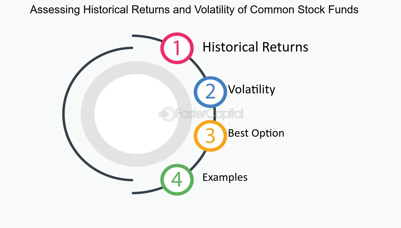 Assessing Historical Returns and Volatility of Common Stock Funds - Performance: Analyzing Performance Metrics of Common Stock Funds